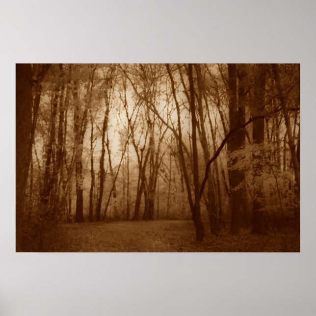 Poster Hush (Devant)