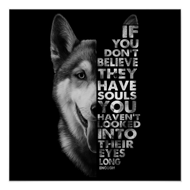 Poster Husky If You Don't (Devant)