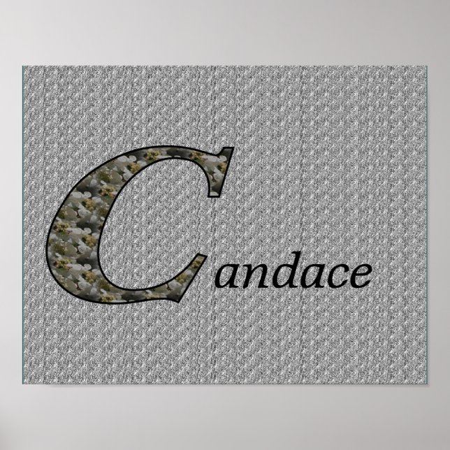 Poster Hydrangea Monogramme Initiale C Personnalisé (Devant)