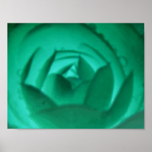 Poster Hypnotic Camellia Flower Print