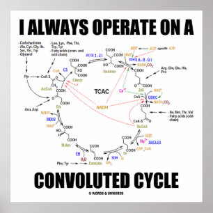 Poster I Always Operate On A Convoluted Cycle (cancer)