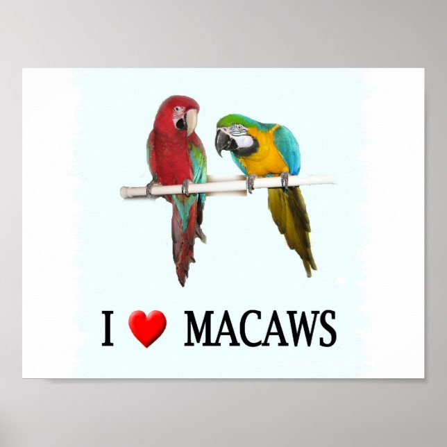 Poster I "Heart Macaws (Devant)