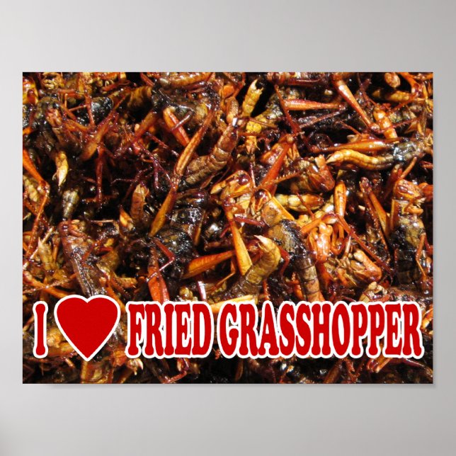 Poster I Love (Heart) Fried Grasshopper (Devant)
