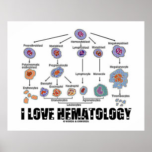 Poster I Love Hematology