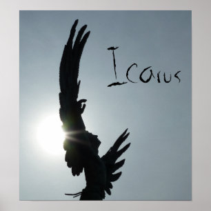 Poster Icarus Silhouette