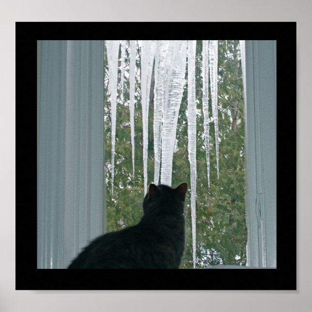 Poster Icicules d'hiver (Devant)