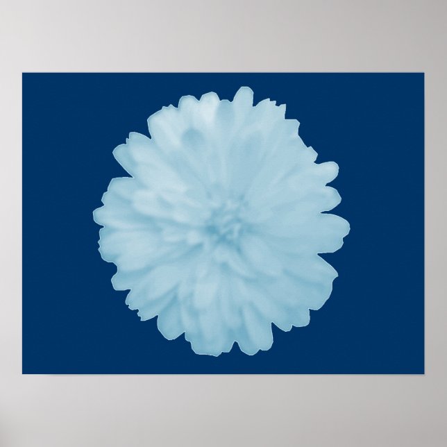 Poster Icy Blue Marigold (Devant)