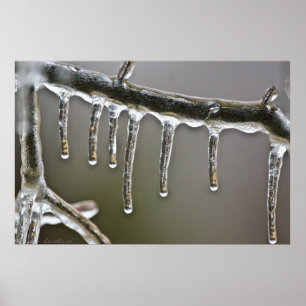 Poster Icy Gold Reflections Icicles