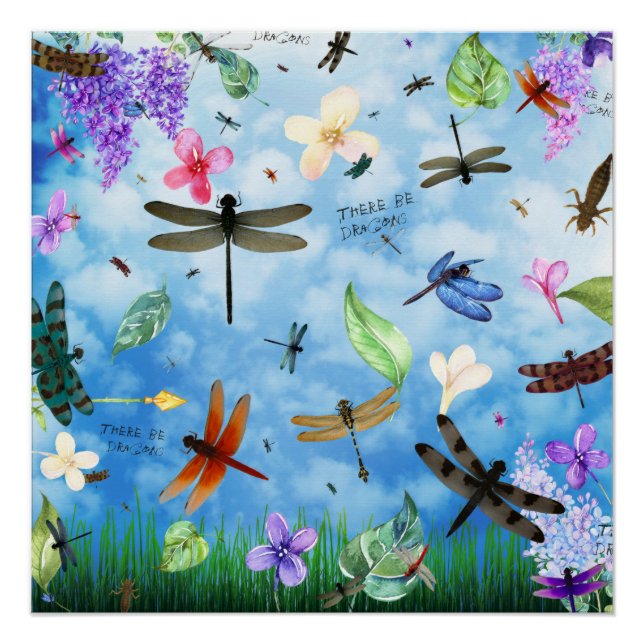 Poster Il Y A Des Dragons (Devant)