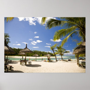Poster Ile Aux Cerf, excursion la plus populaire pour 3