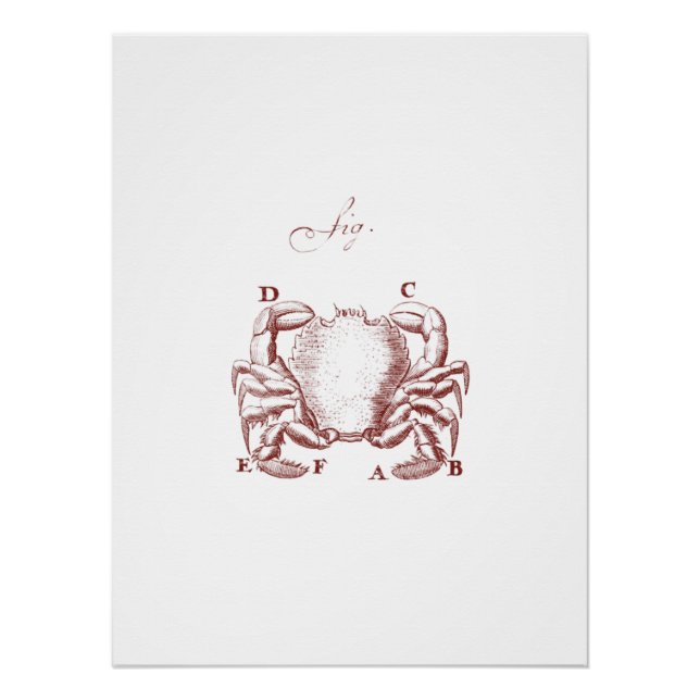 Poster Illision de crabe vintage (Devant)
