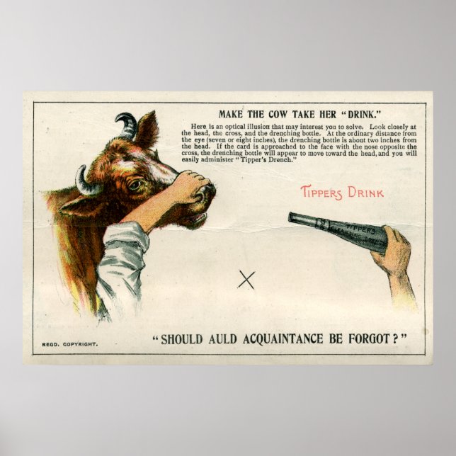 Poster Illusion optique, 1896 (Devant)