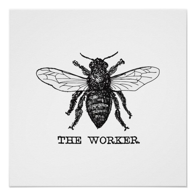 Poster Illustration d'abeille ouvrière vintage (Devant)