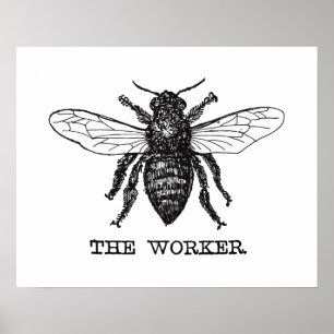 Poster Illustration d'abeille ouvrière vintage