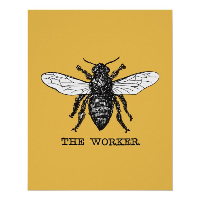 Poster Illustration d'abeille ouvrière vintage (Devant)