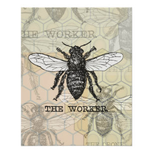 Poster Illustration d'abeille ouvrière vintage