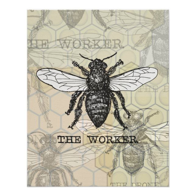 Poster Illustration d'abeille ouvrière vintage (Devant)