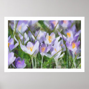 Poster Illustration de crocus de ressort