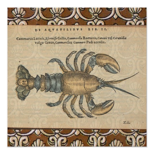 Poster Illustration de homard, fruits de mer du Maine (Devant)