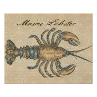 Illustration de homard, fruits de mer du Maine