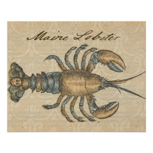 Poster Illustration de homard, fruits de mer du Maine
