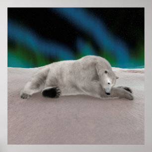 Poster Illustration de la nature arctique de l'ours polai