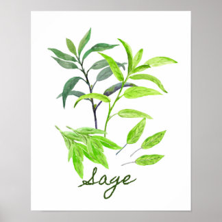 Poster Illustration de l'aquarelle