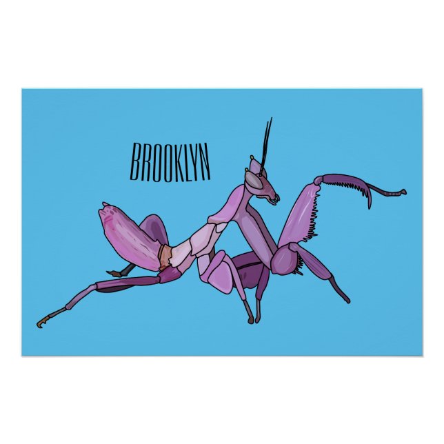 Poster Illustration de l'orchidée mante (Devant)