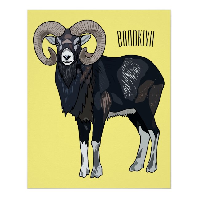 Poster Illustration de mouflon, mouton (Devant)