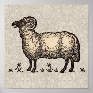 Poster Illustration de mouton vintage : Art classique de 