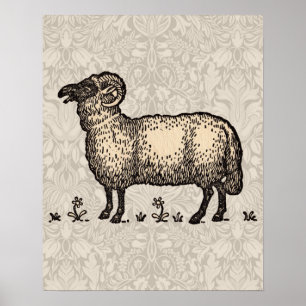 Poster Illustration de mouton vintage : Art classique de 