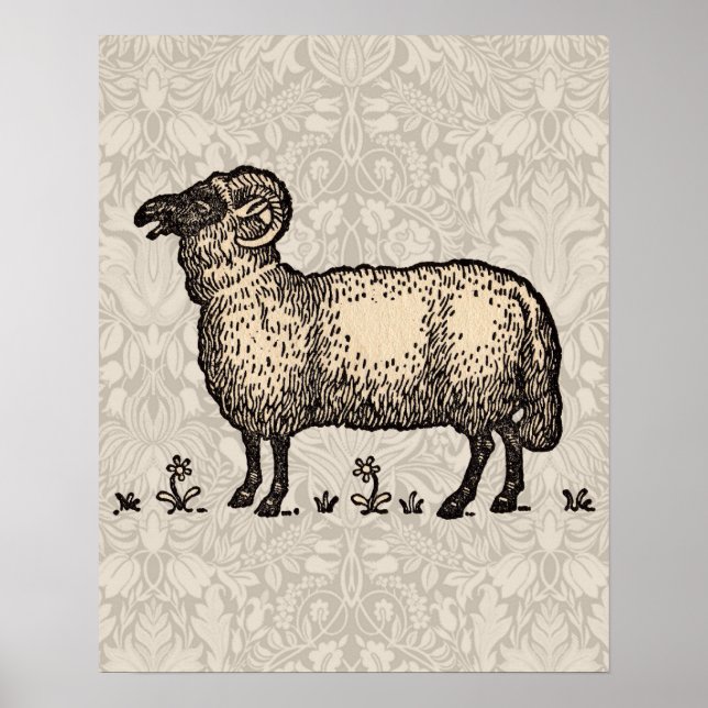 Poster Illustration de mouton vintage : Art classique de  (Devant)