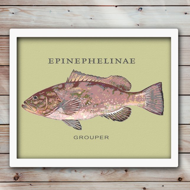 Poster Illustration de poisson mérou (Créateur téléchargé)