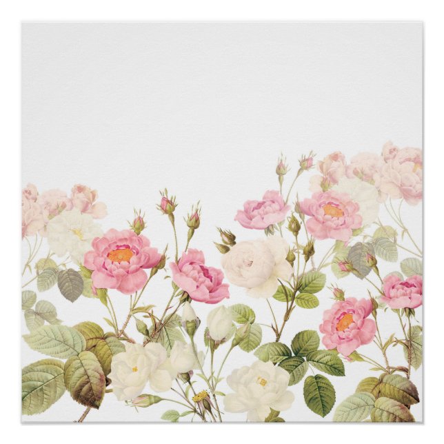 Poster Illustration de prairie rose Sepia Vintage Rose (Devant)