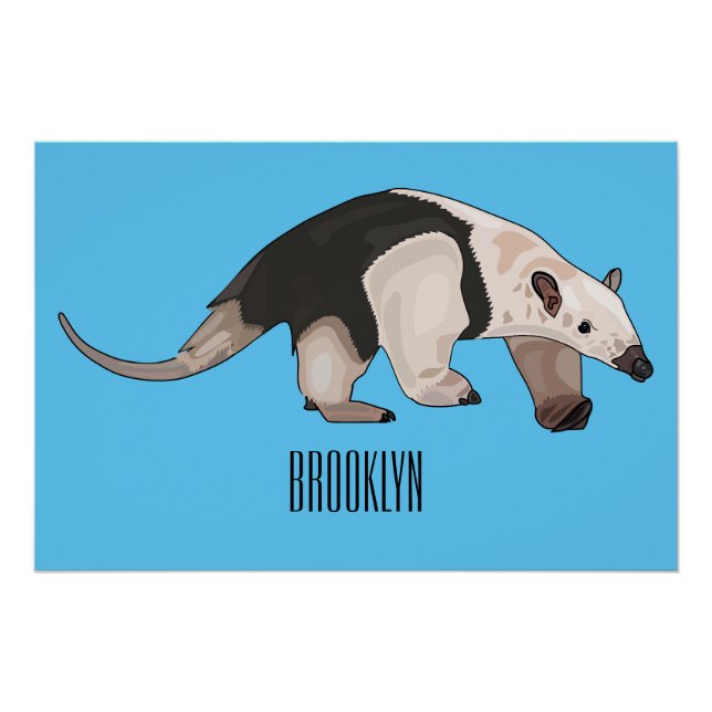 Poster Illustration de Tamandua (Devant)