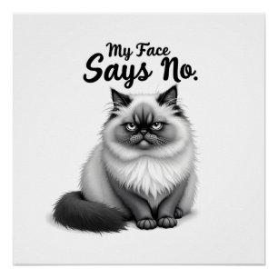 Poster Illustration de visage de chat drôle – Art de chat