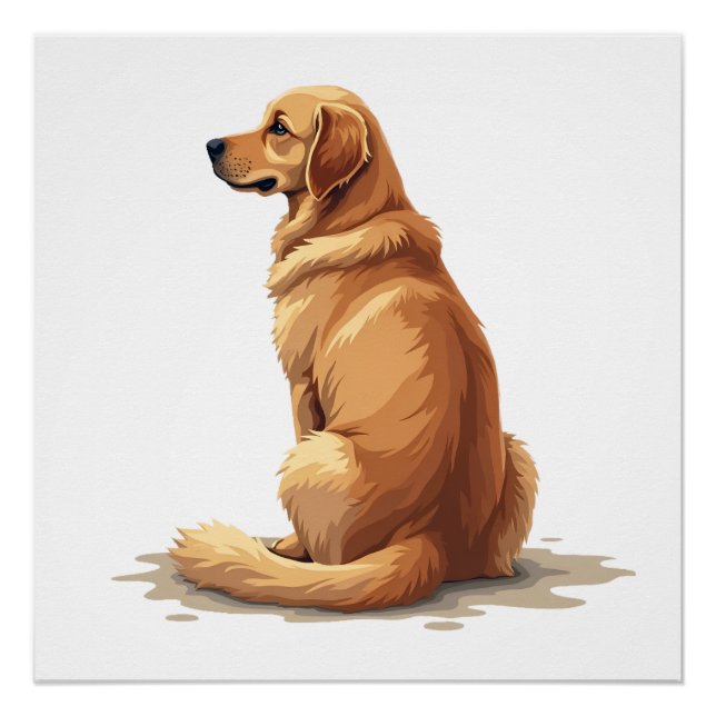 Poster Illustration d'un Golden Retriever vu de dos pour  (Devant)