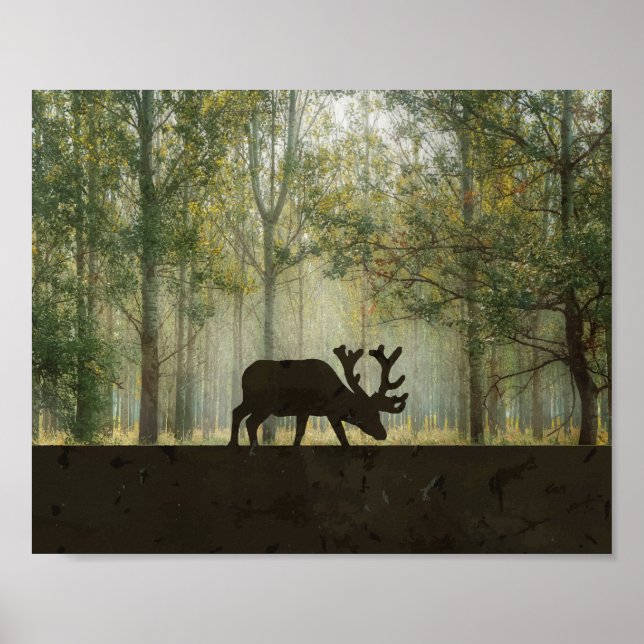 Poster Illustration d'un orignal dans la forêt (Devant)