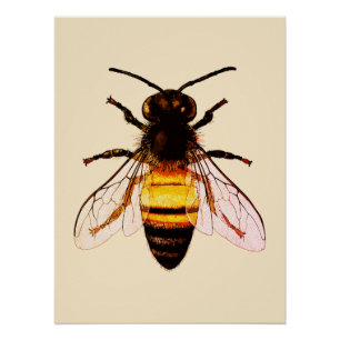 Poster Illustration réaliste de l'art de l'abeille miel