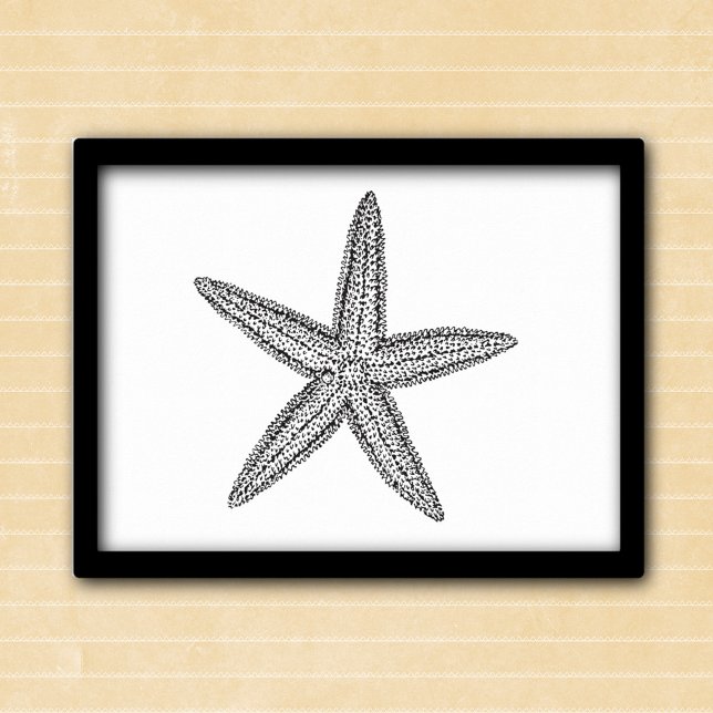 Poster Illustration Starfish en noir et blanc (Créateur téléchargé)