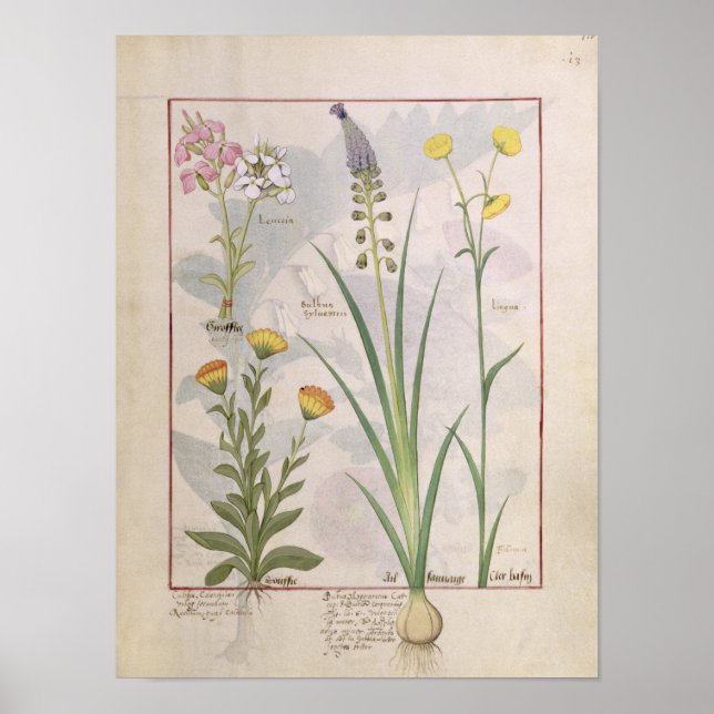 Poster Illustration tirée du "Livre des médicaments simpl (Devant)
