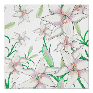 Poster Illustration White Lilies