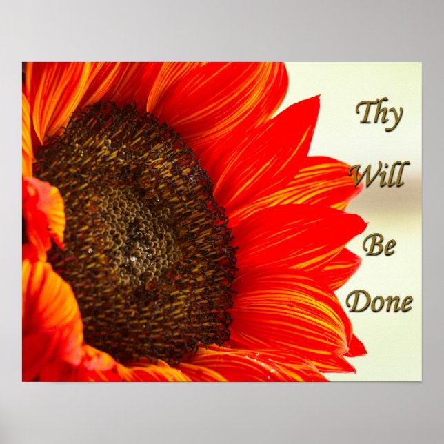 Poster Ils Seront Fait Tournesol (Devant)