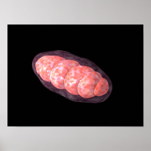 Poster Image Conceptuelle De Mitochondria 2 (Devant)