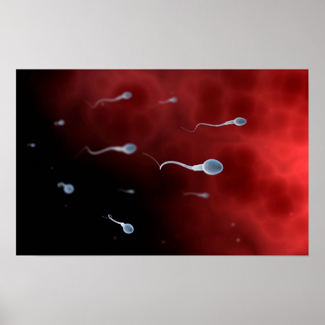 Poster Image Conceptuelle De Sperm À L'Intérieur Du Tube  (Devant)