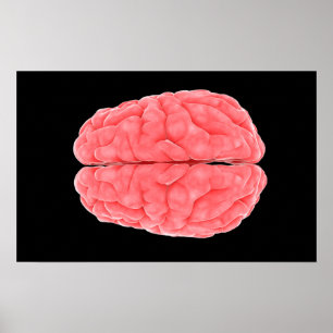Poster Image Conceptuelle Du Cerveau Humain 10