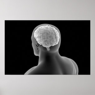 Poster Image Conceptuelle Du Cerveau Humain 2