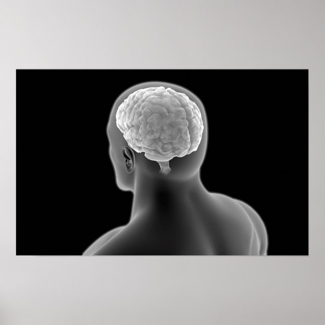 Poster Image Conceptuelle Du Cerveau Humain 2 (Devant)