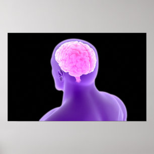 Poster Image Conceptuelle Du Cerveau Humain 9