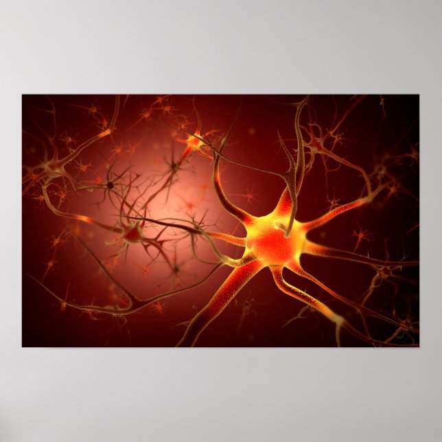 Poster Image Conceptuelle Du Neuron 1 (Devant)